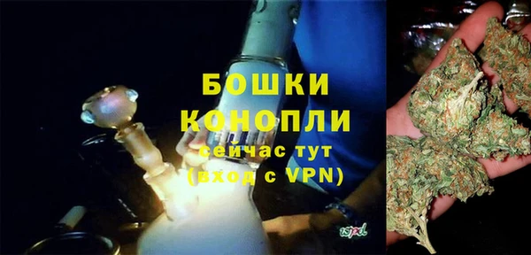 прущие грибы Новокубанск