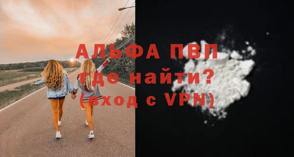 дмт Новодвинск