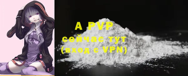 mdpv Новозыбков