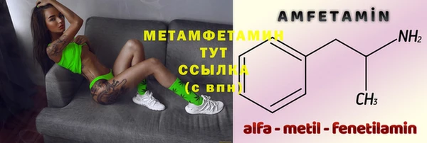 прущие грибы Новокубанск