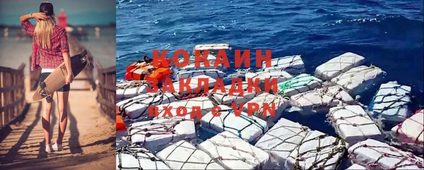 прущие грибы Новокубанск