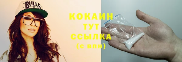 прущие грибы Новокубанск