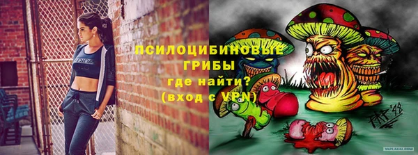 дмт Новодвинск