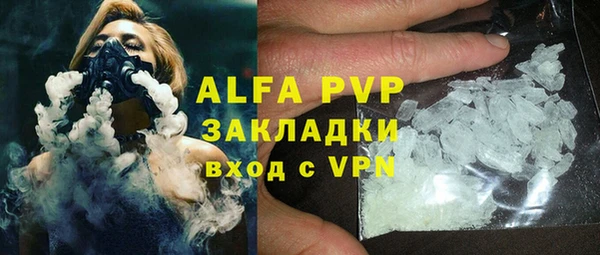 прущие грибы Новокубанск