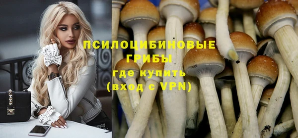 mdpv Новозыбков
