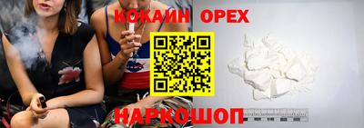 jwh Бийск