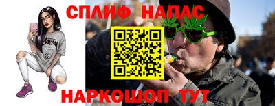 jwh Бийск