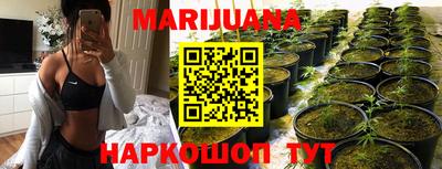 jwh Бийск