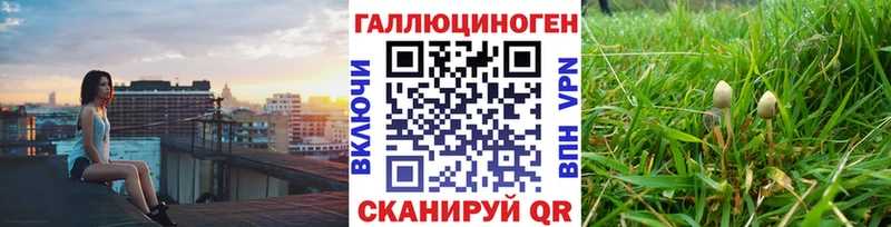 Псилоцибиновые грибы Psilocybe  МЕГА рабочий сайт  Торжок  купить  сайты 